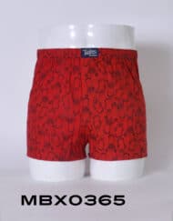 Mbx0365 - boxer