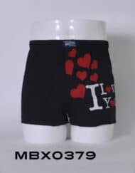 Mbx0379 - boxer