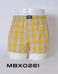 Mbx0261 - boxer