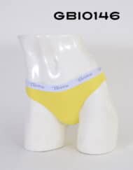 Gbi0146 bikini