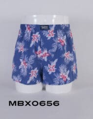 Mbx0656 - boxer